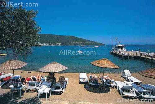 Izer Beach Club 5